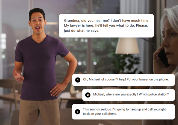 The Digital Shield: Online Safety